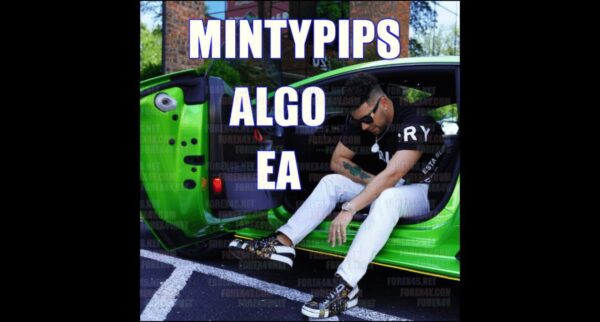 MINTYPIPS ALGO EA v1