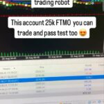 Zenjy FX Propfirm EA