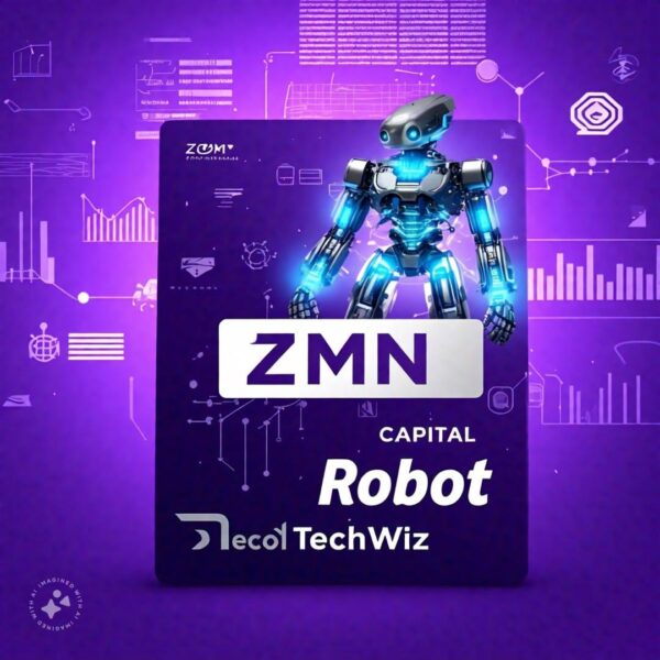 ZMN CAPITAL Robot