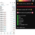 Real ScalpingEA V3 MT5